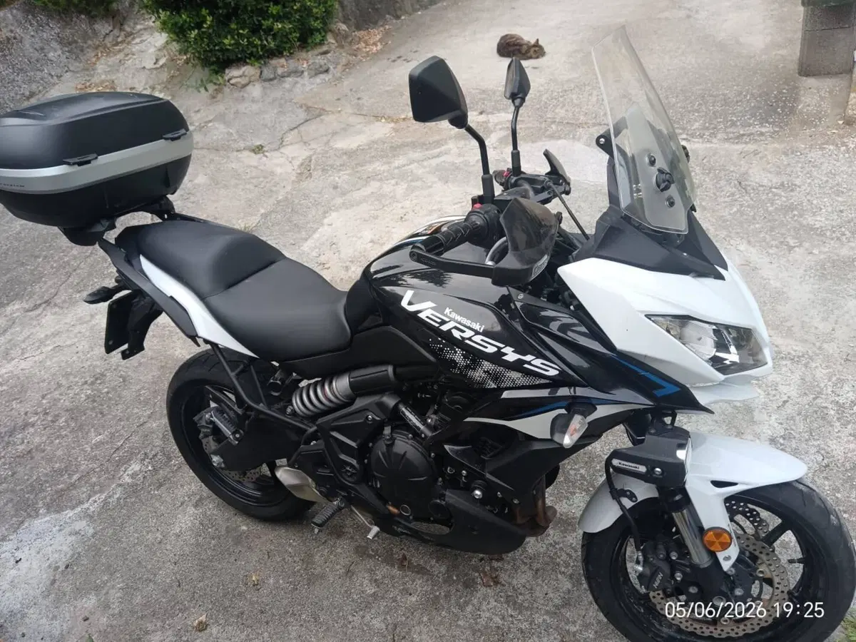 Kawasaki Versys 650 (2021 - 24) (2)