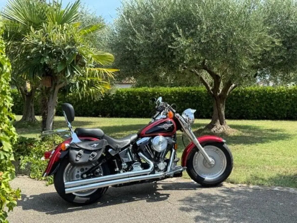 Harley-Davidson 1340 Fat Boy (1990 - 99) - FLSTF (3)