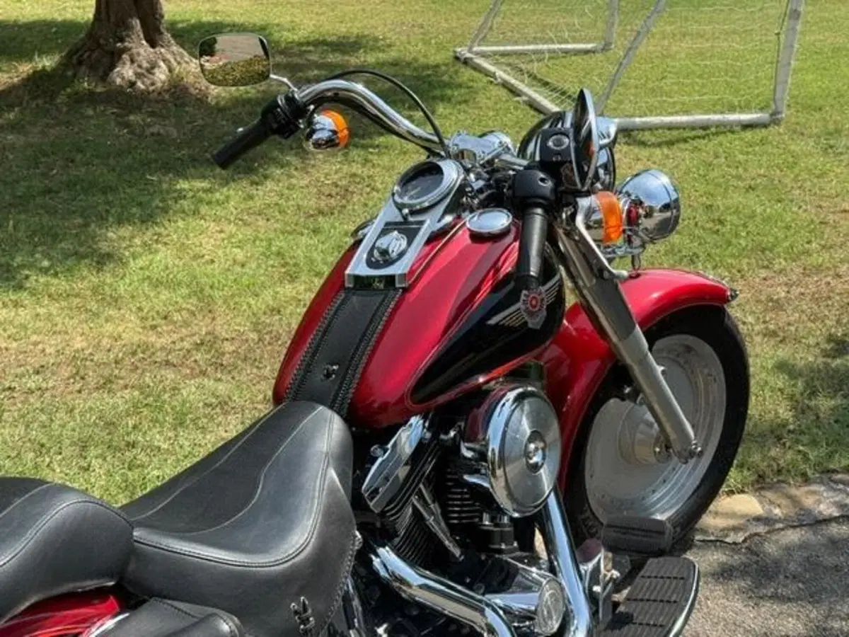 Harley-Davidson 1340 Fat Boy (1990 - 99) - FLSTF (10)