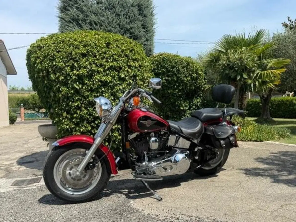Harley-Davidson 1340 Fat Boy (1990 - 99) - FLSTF (13)