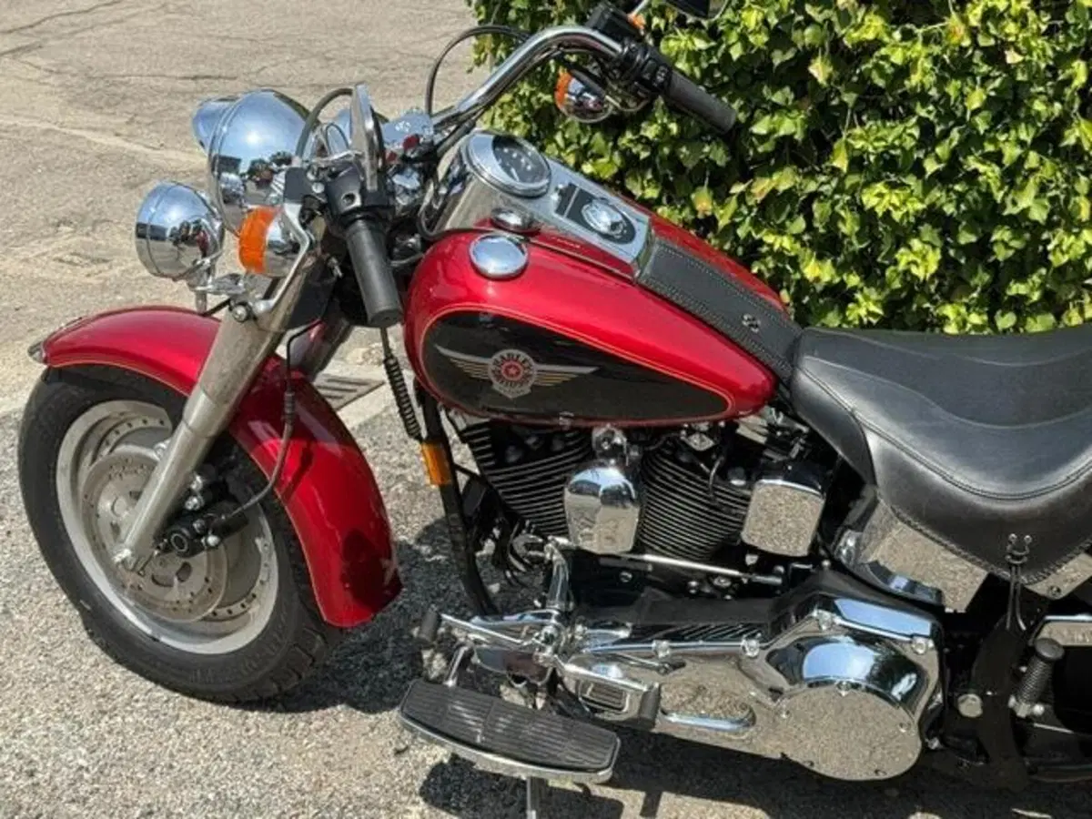 Harley-Davidson 1340 Fat Boy (1990 - 99) - FLSTF (16)