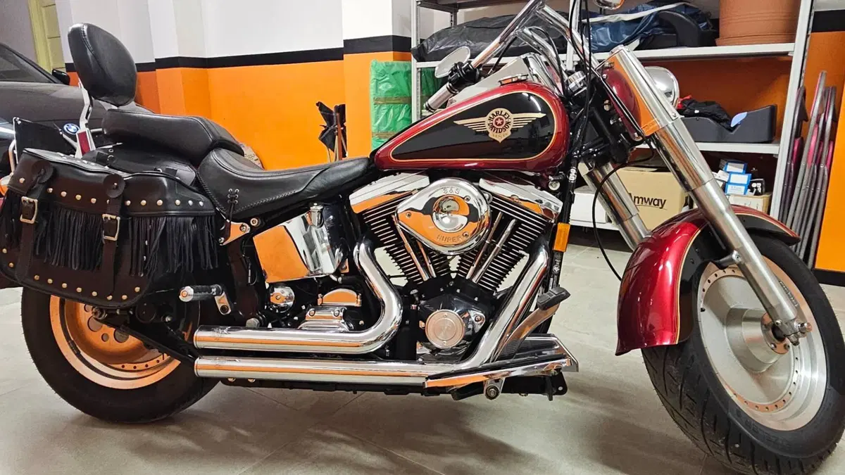 Harley-Davidson Fat Boy FLSTF 1340 Evolution (2)