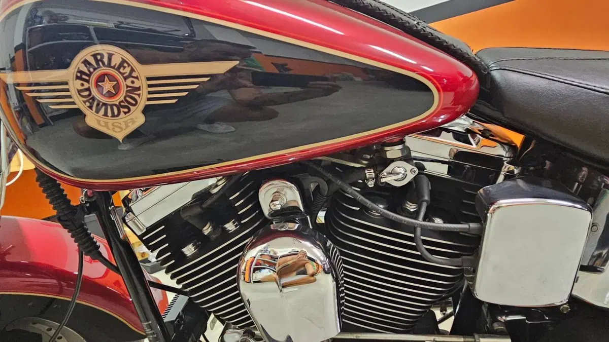 Harley-Davidson Fat Boy FLSTF 1340 Evolution (10)