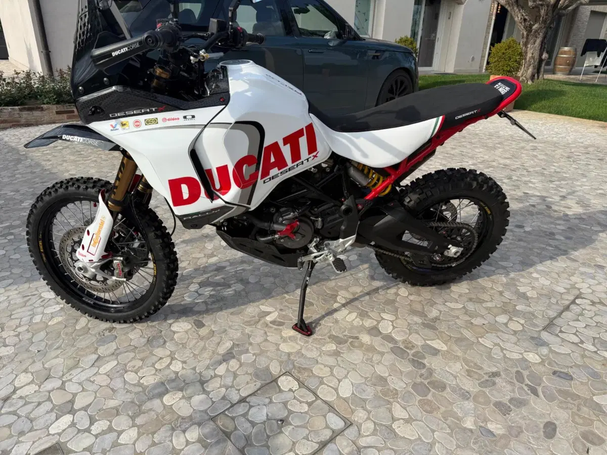 Ducati DesertX Rally (2024 - 25) (2)