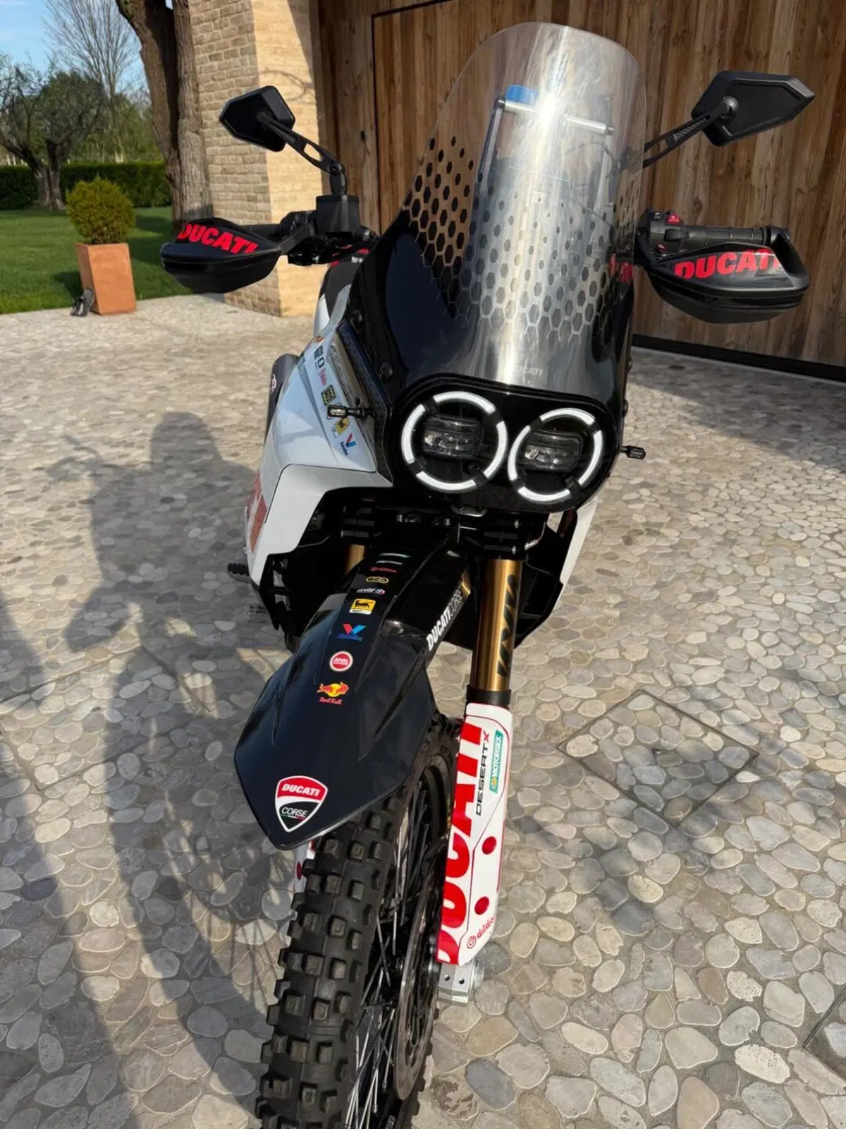 Ducati DesertX Rally (2024 - 25) (4)