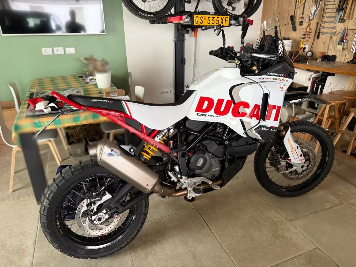 Ducati DesertX Rally (2024 - 25) (5)
