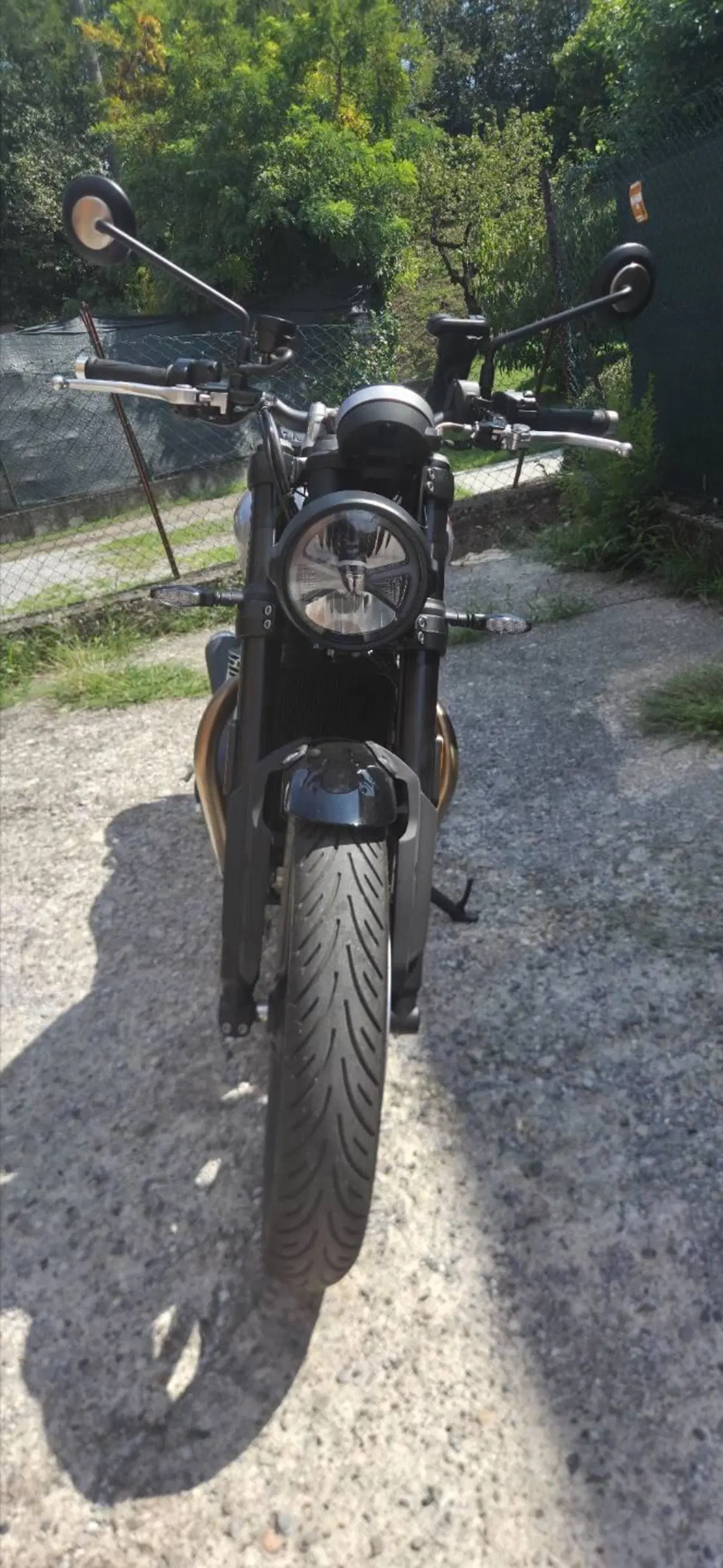 Triumph Speed Twin 900 (2025 - 26) (7)