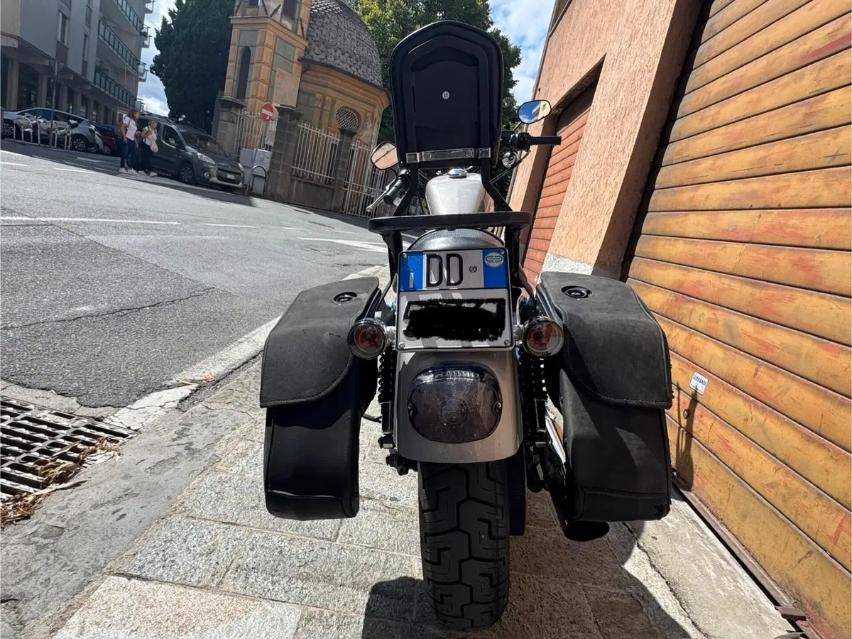 Harley-Davidson 883 R (2006 - 07) - XL 883R (8)