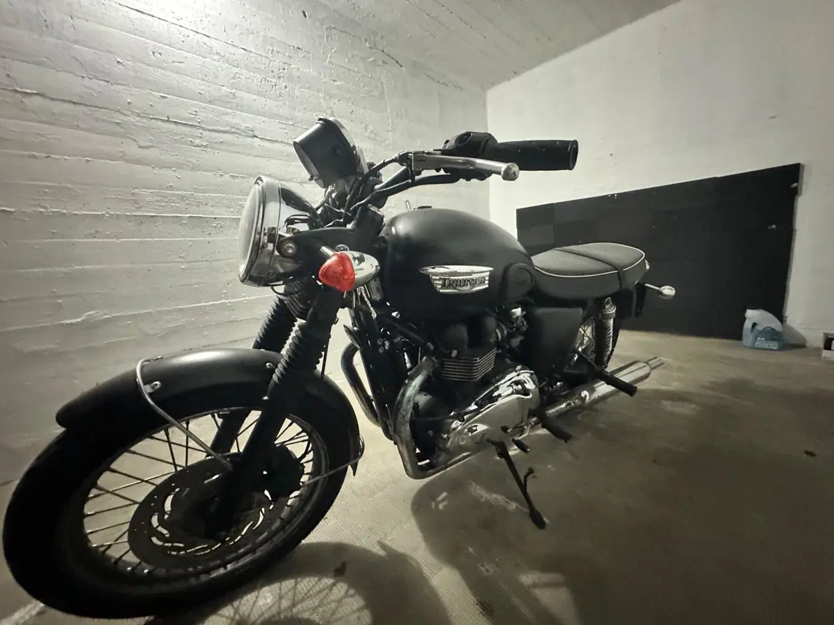 Triumph Bonneville T100 (2008 - 16) (5)