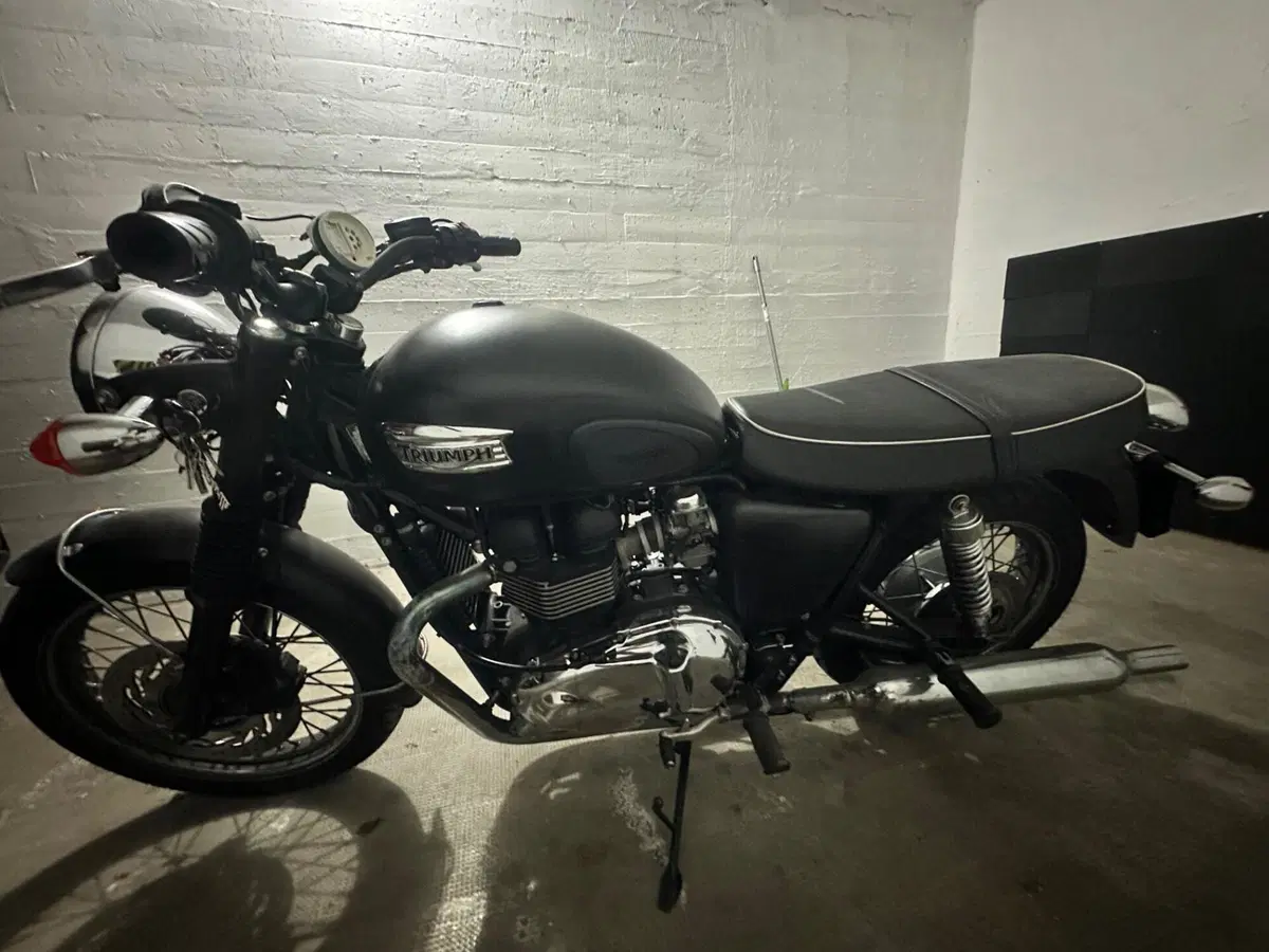 Triumph Bonneville T100 (2008 - 16) (20)