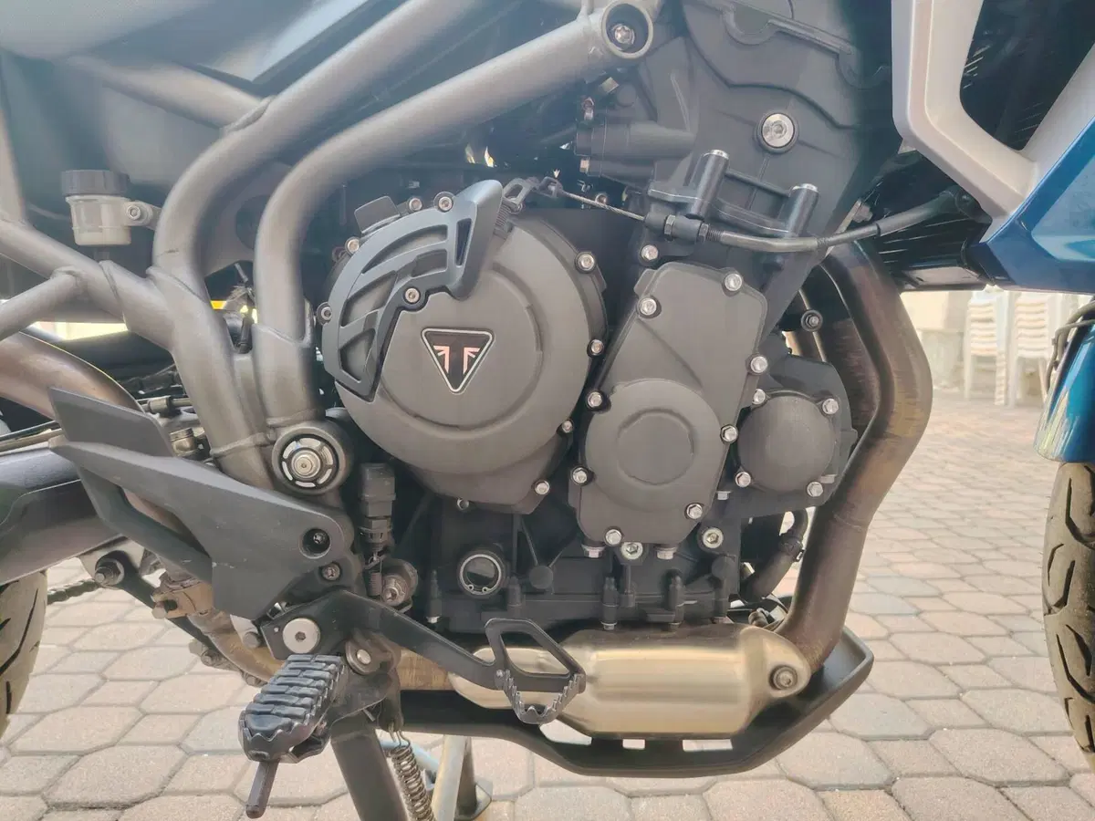 Triumph Tiger 800 XRx (2018 - 20) (5)