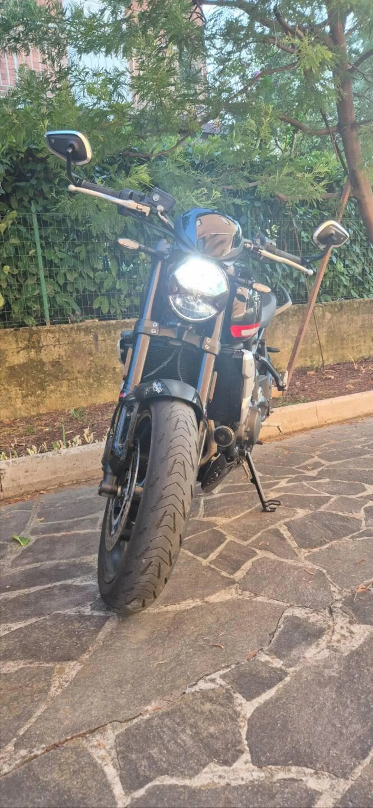 Triumph Trident 660 (2021 - 24) (4)