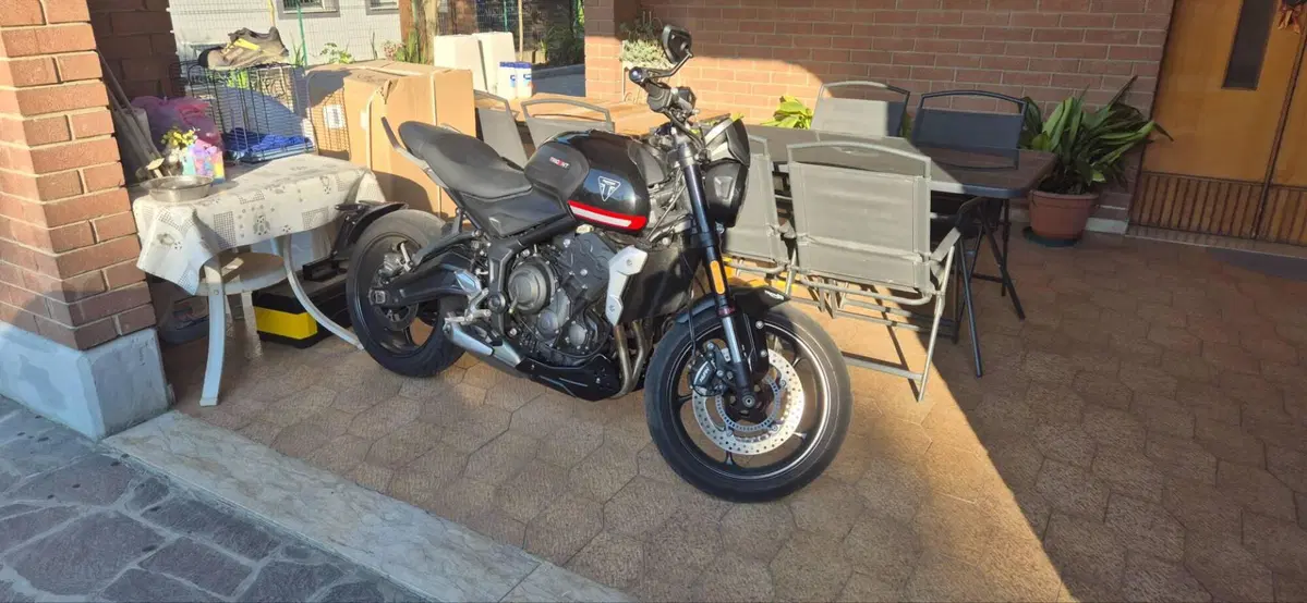 Triumph Trident 660 (2021 - 24) (6)