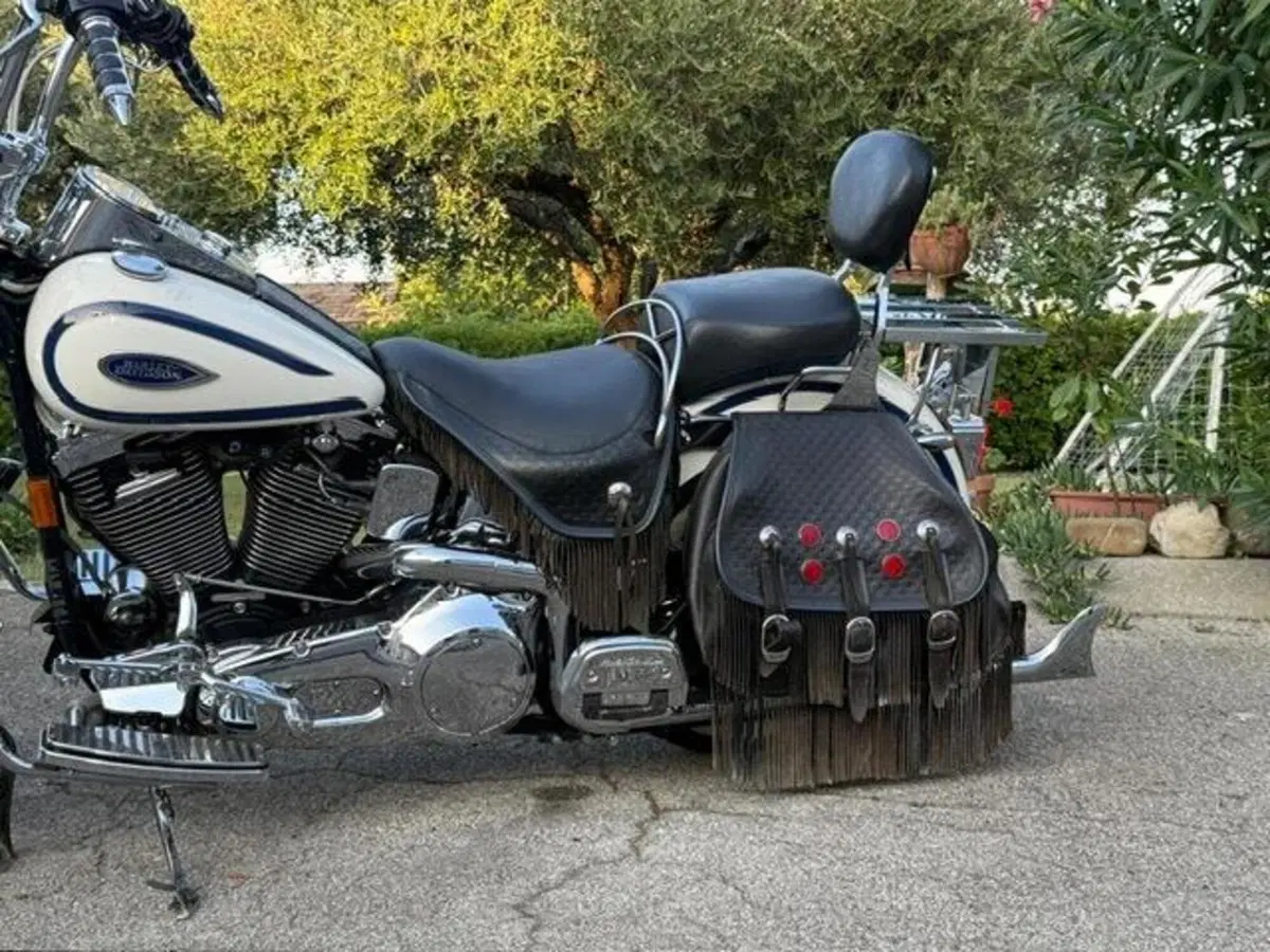 Harley-Davidson 1340 Heritage Springer (1997 - 99) - FLSTS (3)