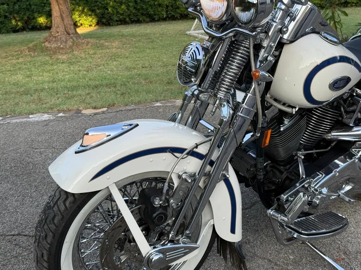 Harley-Davidson 1340 Heritage Springer (1997 - 99) - FLSTS (7)