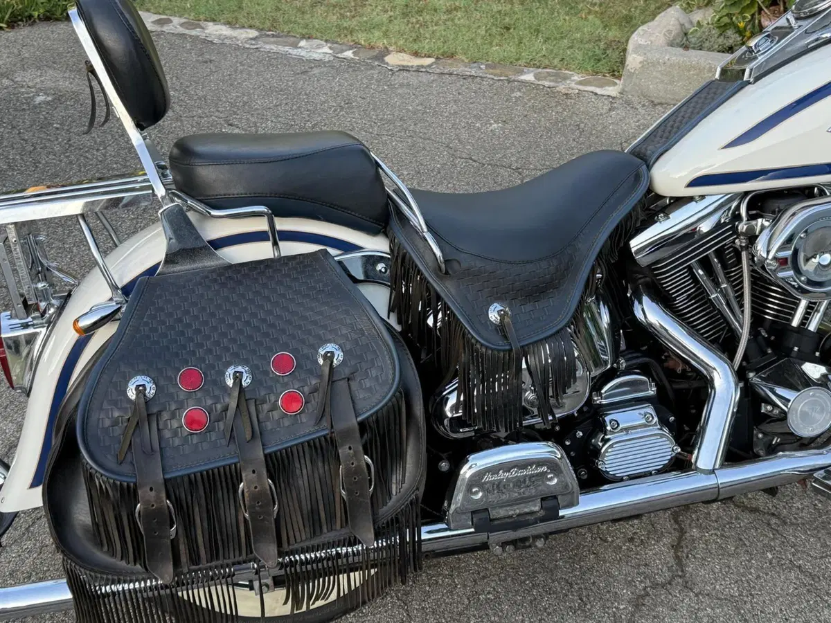 Harley-Davidson 1340 Heritage Springer (1997 - 99) - FLSTS (9)