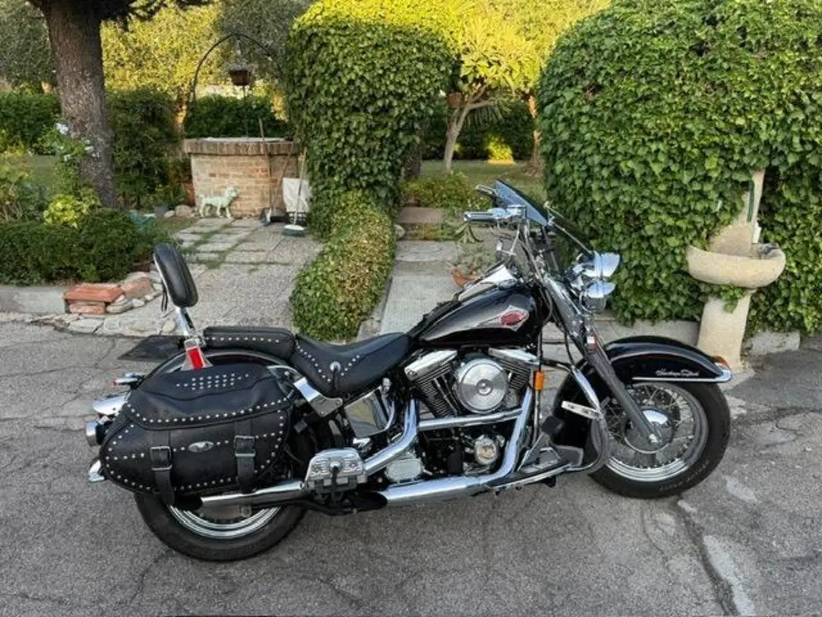 Harley-Davidson 1340 Heritage Springer (1997 - 99) - FLSTS (14)