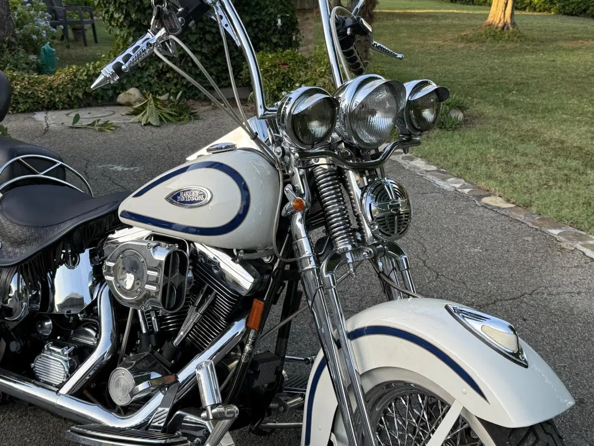 Harley-Davidson 1340 Heritage Springer (1997 - 99) - FLSTS (15)