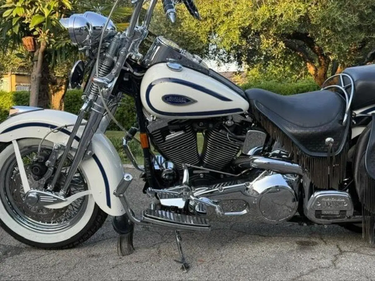 Harley-Davidson 1340 Heritage Springer (1997 - 99) - FLSTS (18)