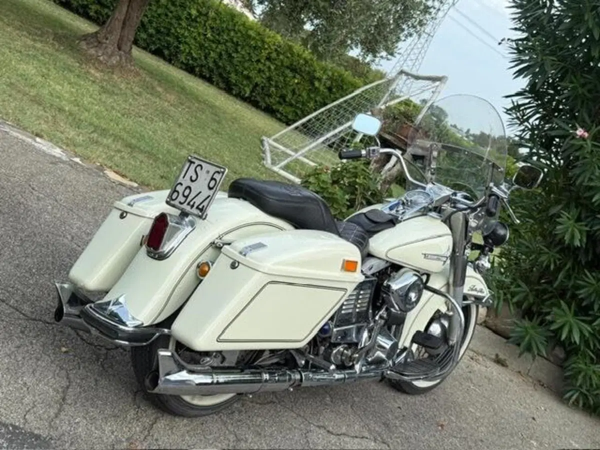 Harley-Davidson FLH 1200 Electra Glide Shovelhead (3)