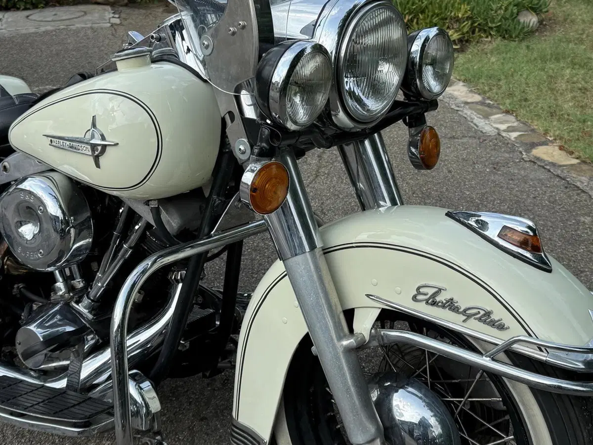 Harley-Davidson FLH 1200 Electra Glide Shovelhead (6)