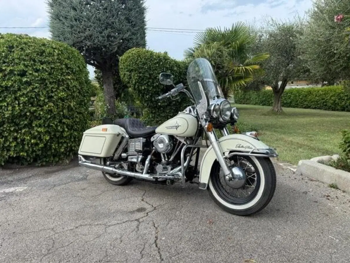 Harley-Davidson FLH 1200 Electra Glide Shovelhead (12)