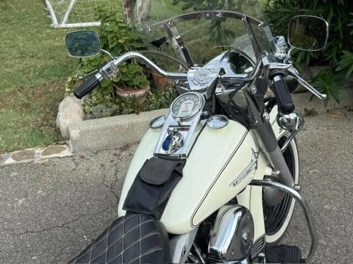 Harley-Davidson FLH 1200 Electra Glide Shovelhead (18)