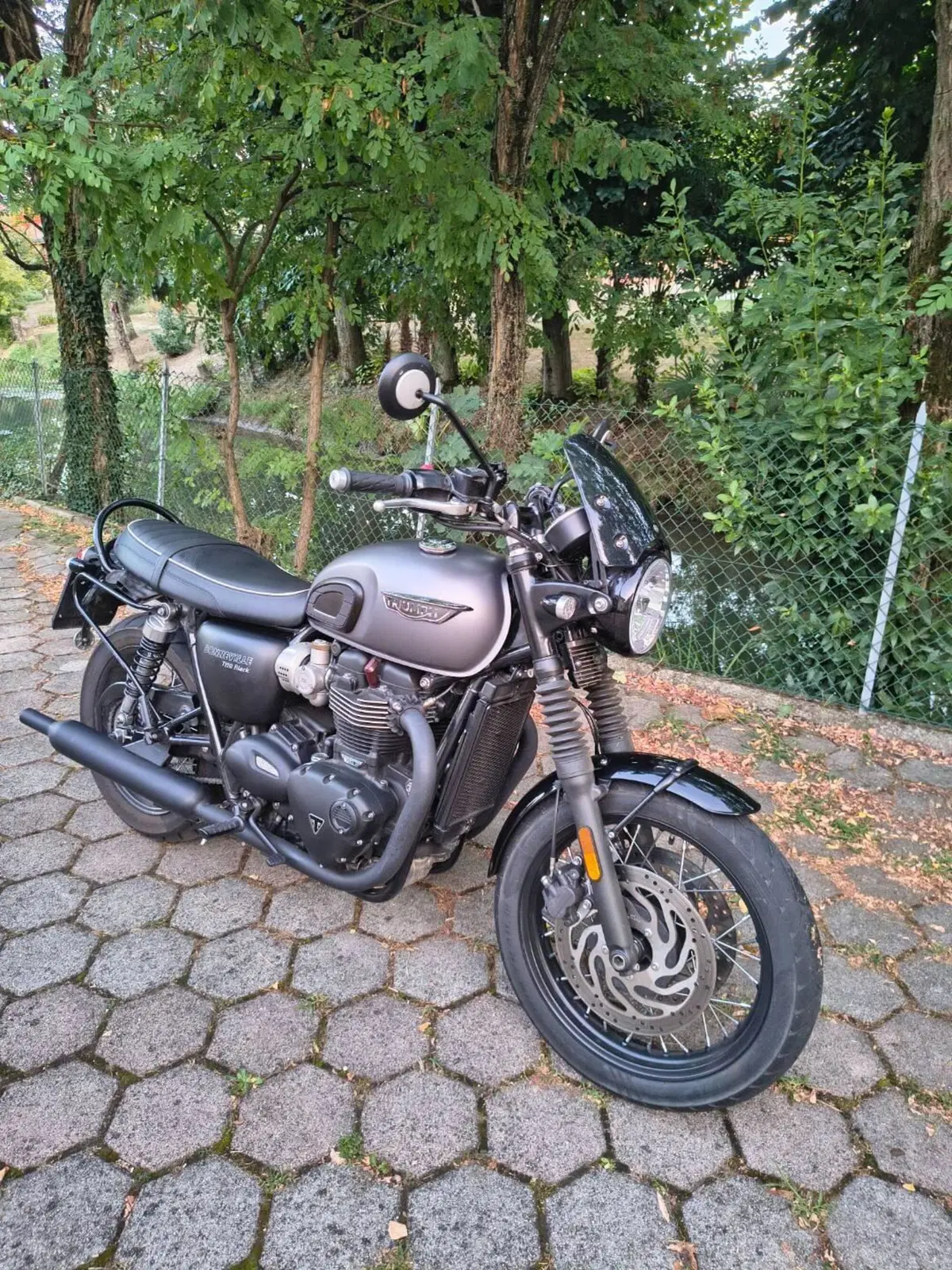 Triumph Bonneville T120 Black (2017 - 20) (6)