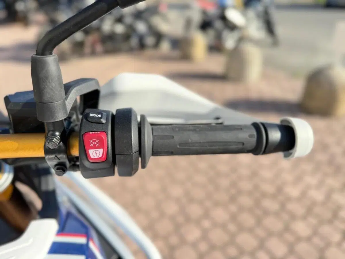 Bmw F 450 GS (2026) (7)