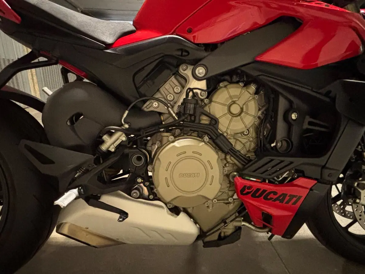 Ducati Streetfighter V4 (2023 - 24) (6)