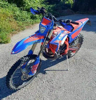Betamotor RR 300 2T Enduro Race (2026) usata