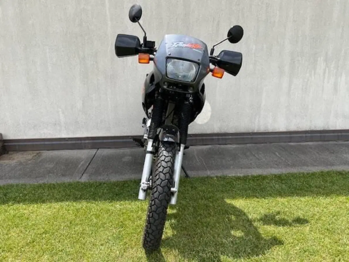 Honda DOMINATOR N650 (2)