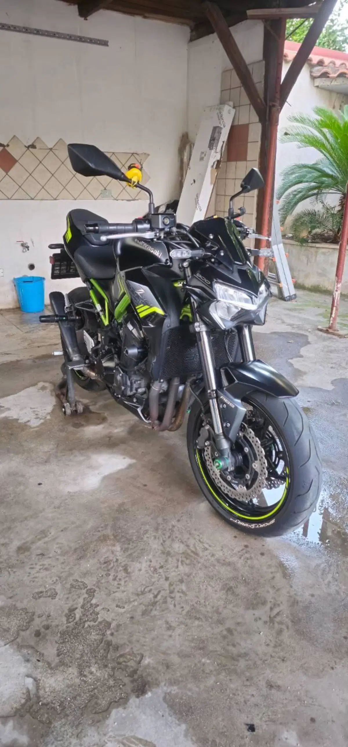 Kawasaki Z 900 (2021 - 24)