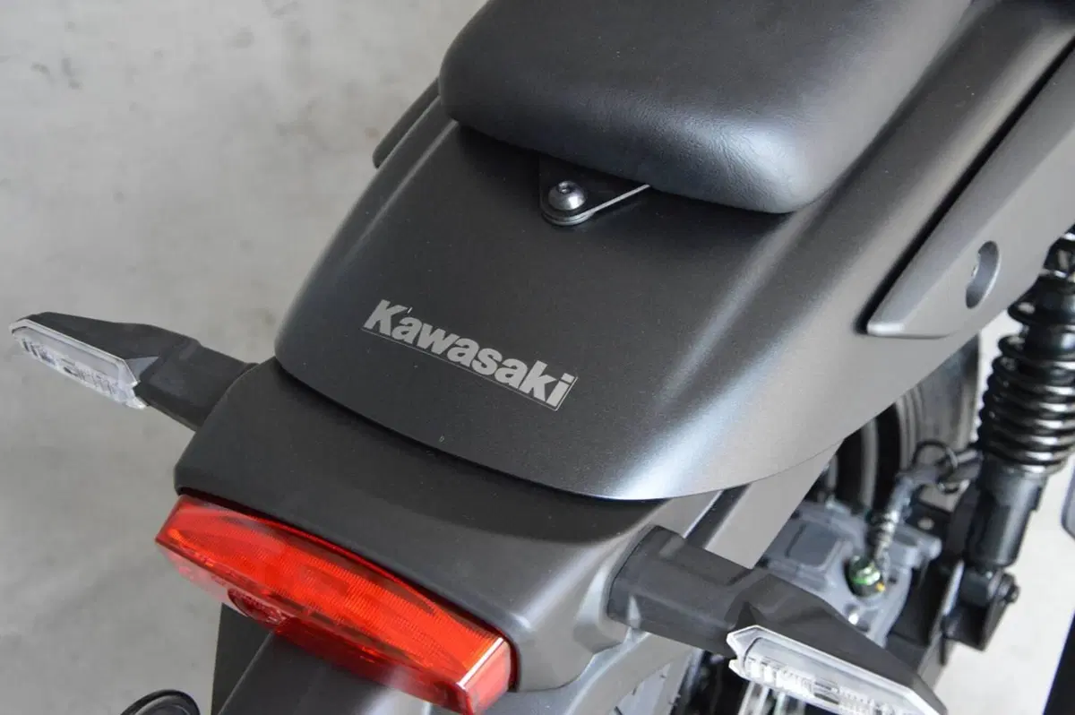 Kawasaki Eliminator 500 (2024 - 26) (4)