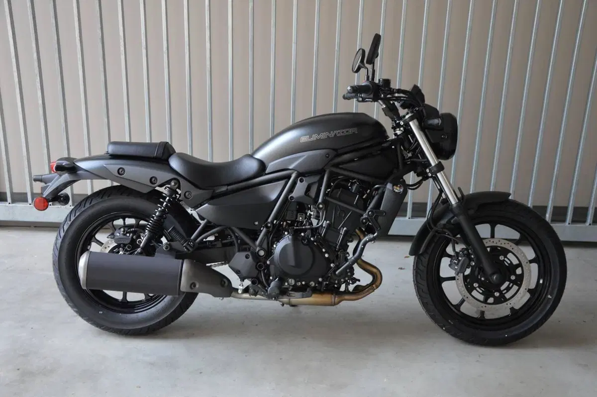 Kawasaki Eliminator 500 (2024 - 26) (5)