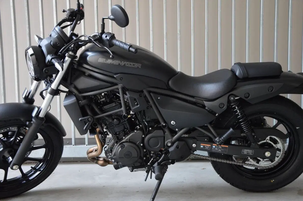 Kawasaki Eliminator 500 (2024 - 26) (10)