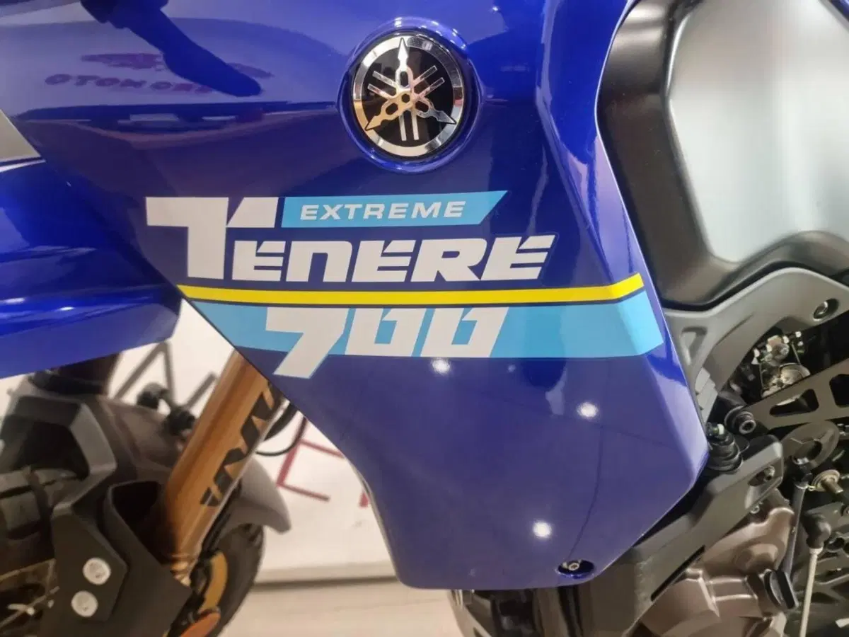 Yamaha Ténéré 700 Extreme Edition (2023 - 25) (8)