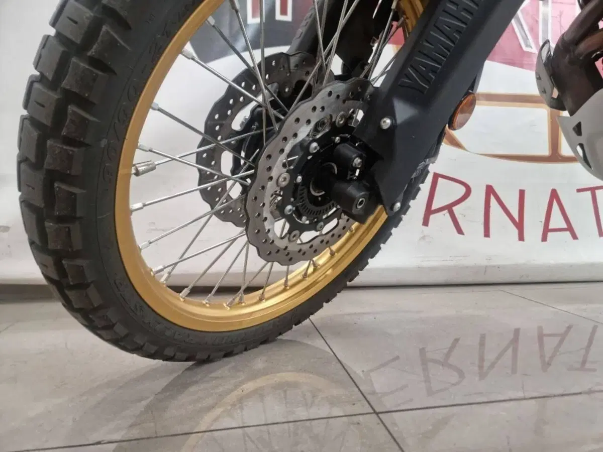 Yamaha Ténéré 700 Extreme Edition (2023 - 25) (11)
