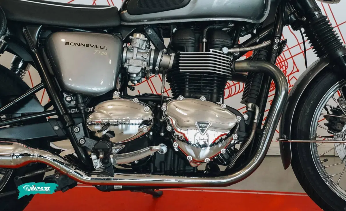 Triumph Bonneville T100 (2008 - 16) (10)