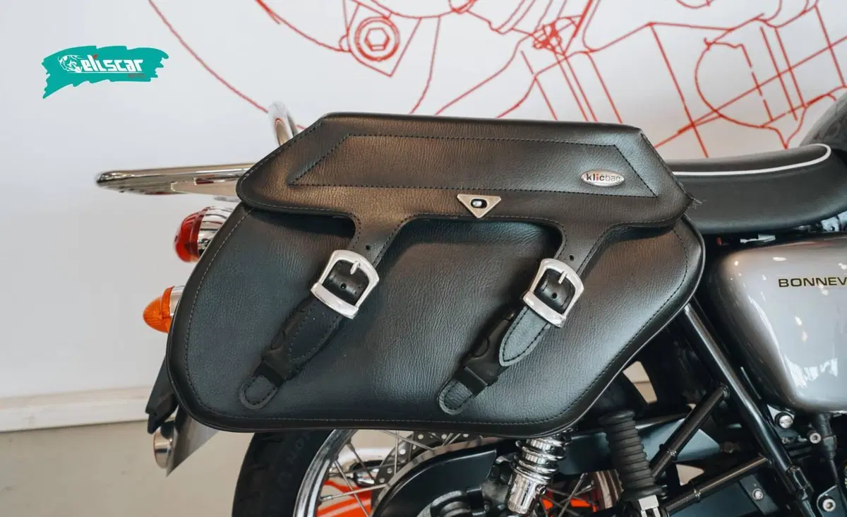 Triumph Bonneville T100 (2008 - 16) (6)
