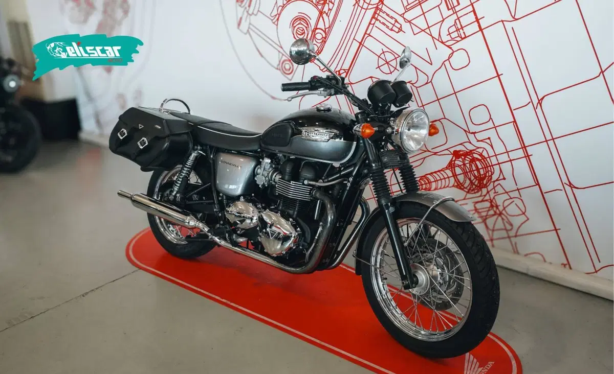 Triumph Bonneville T100 (2008 - 16) (2)