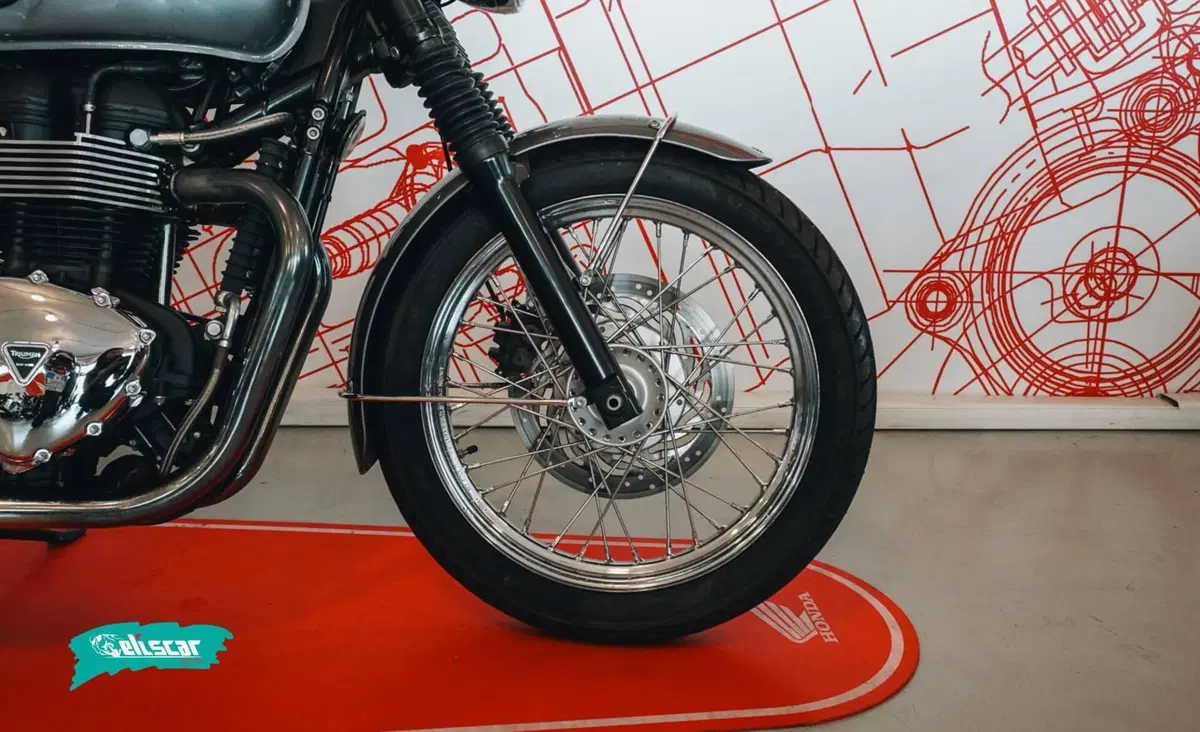 Triumph Bonneville T100 (2008 - 16) (9)
