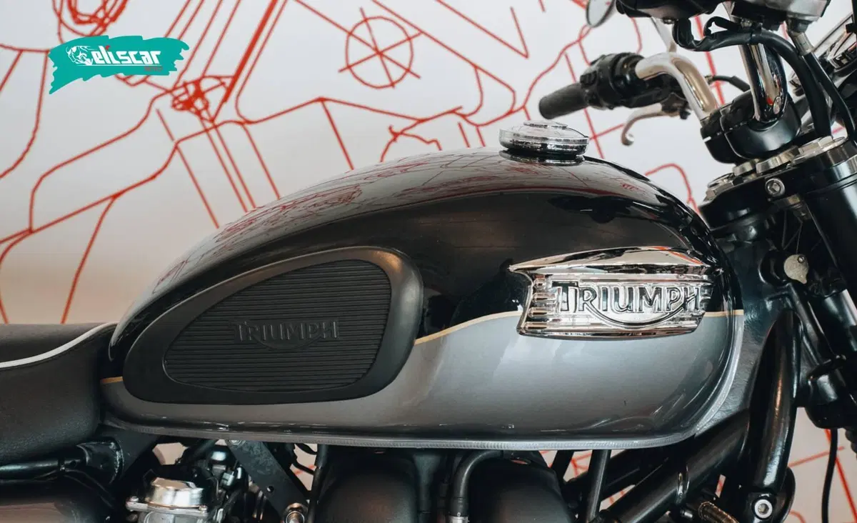 Triumph Bonneville T100 (2008 - 16) (8)