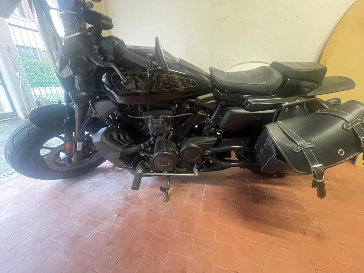 Harley-Davidson Sportster S (2022 - 24) (2)