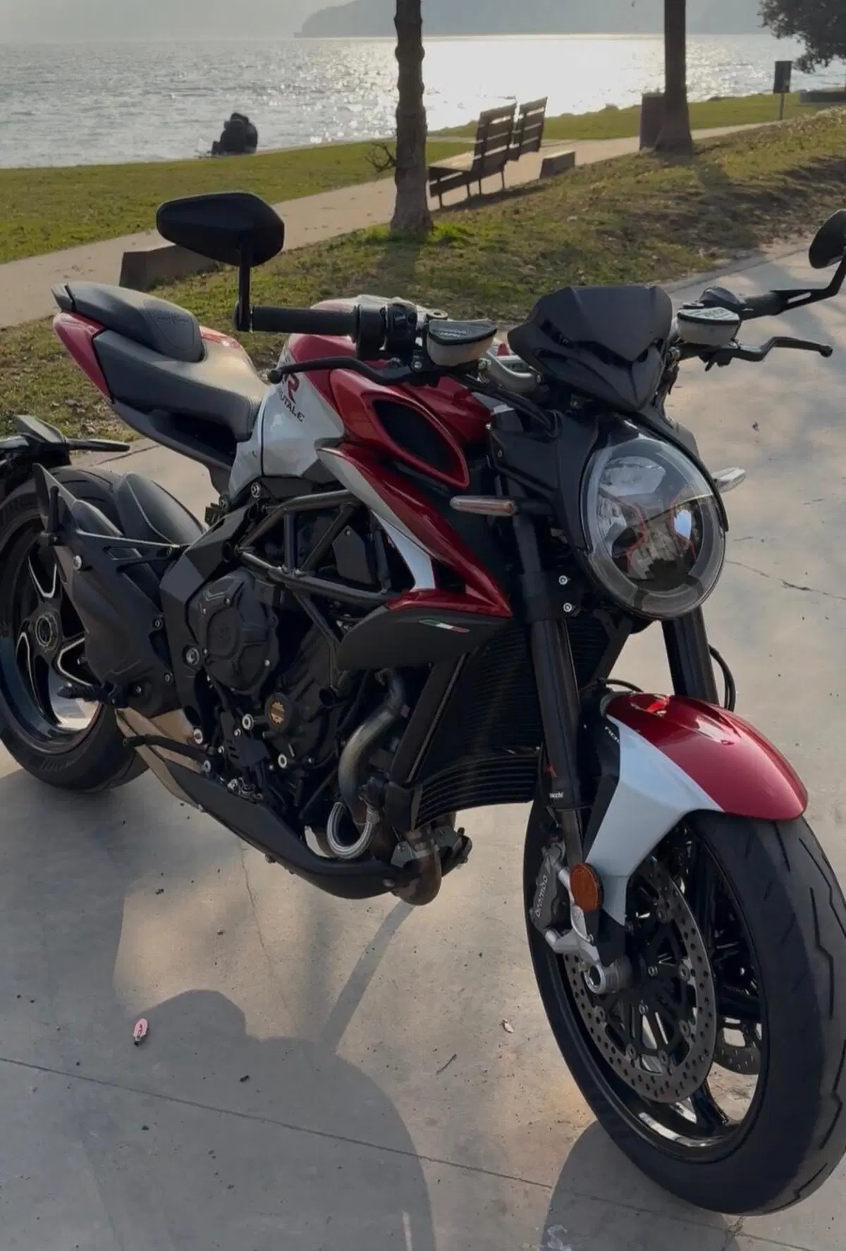 MV Agusta Brutale 800 RR (2021 - 25) (4)