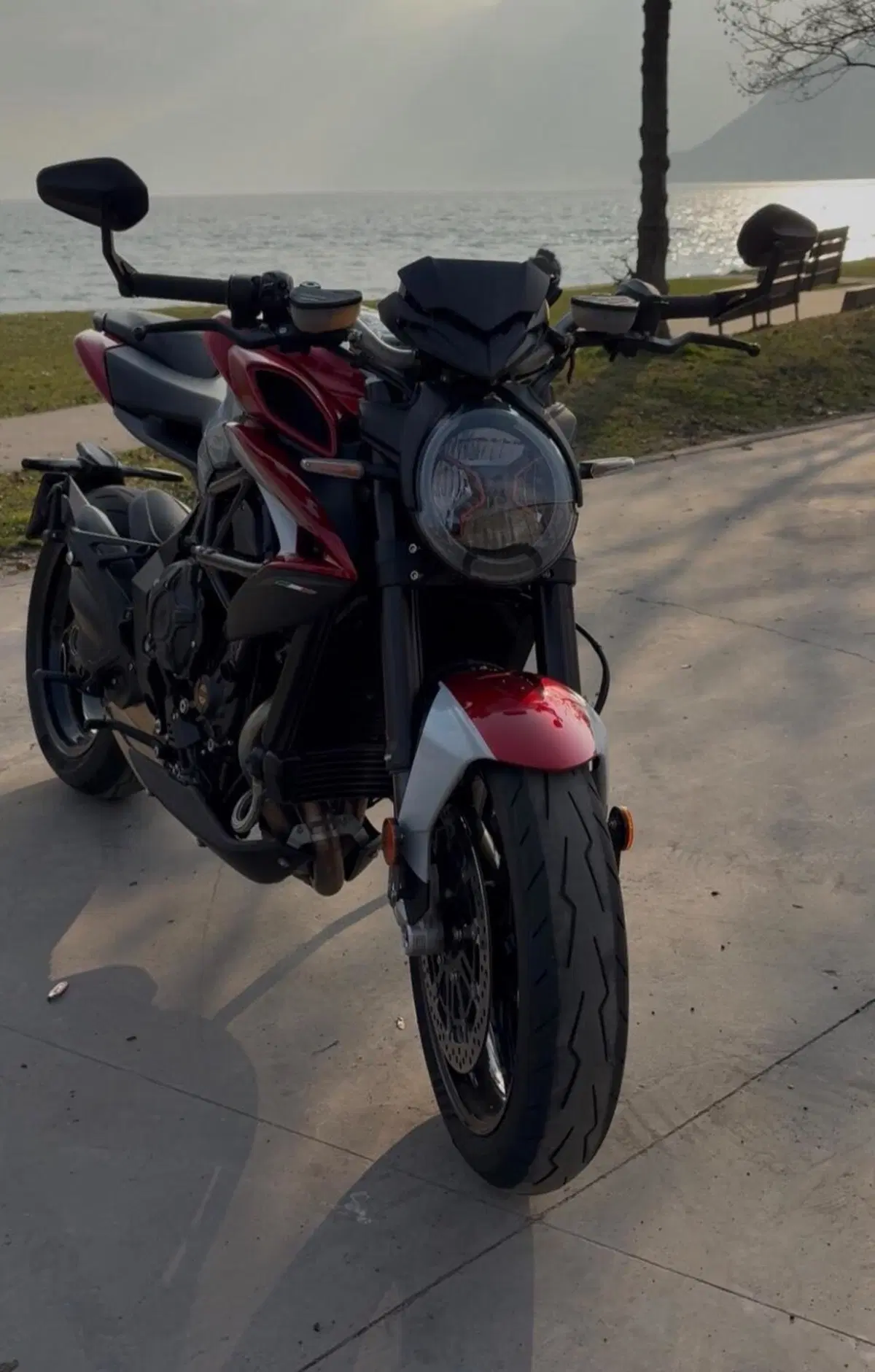 MV Agusta Brutale 800 RR (2021 - 25) (5)