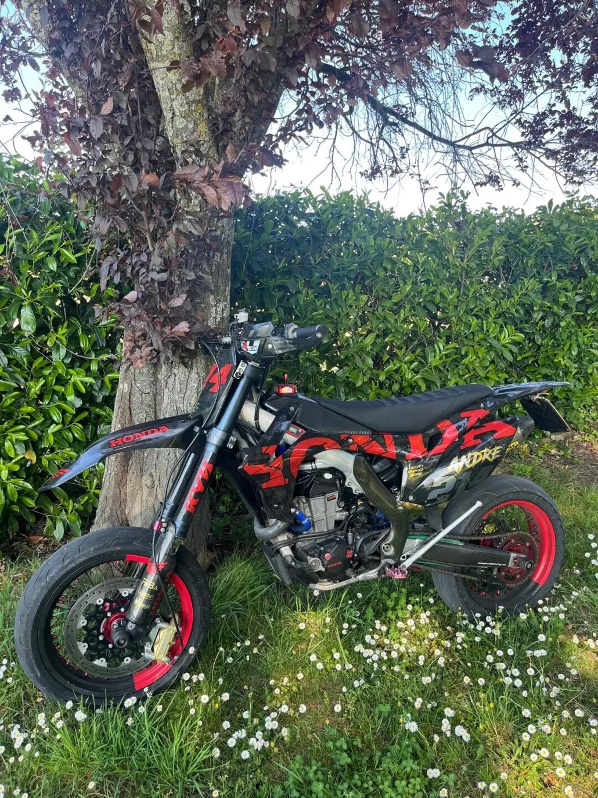 Honda CRF 450R (2014) (2)