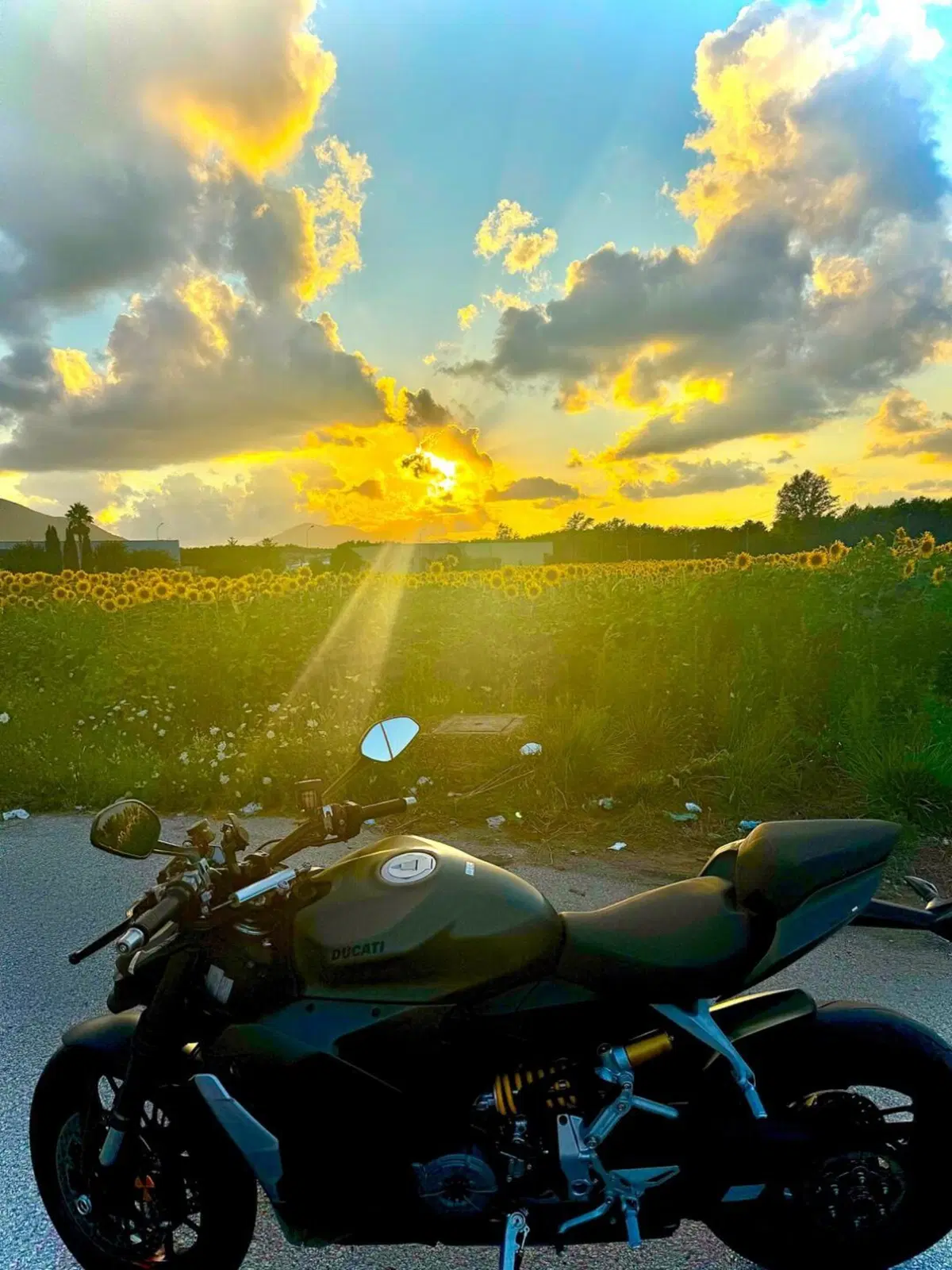 Ducati Streetfighter V2 (2022 - 24) (10)