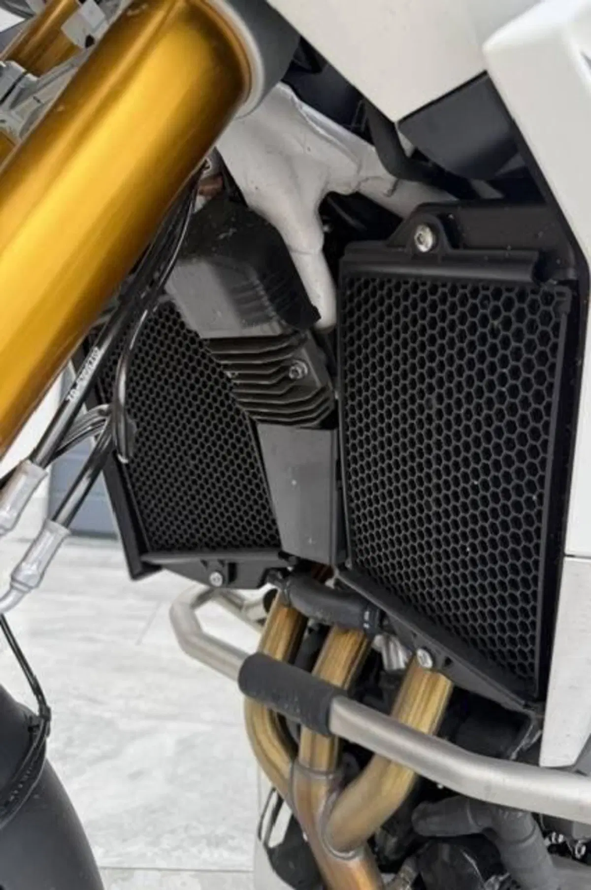 Triumph Tiger 900 Rally Pro (2020 - 23) (2)