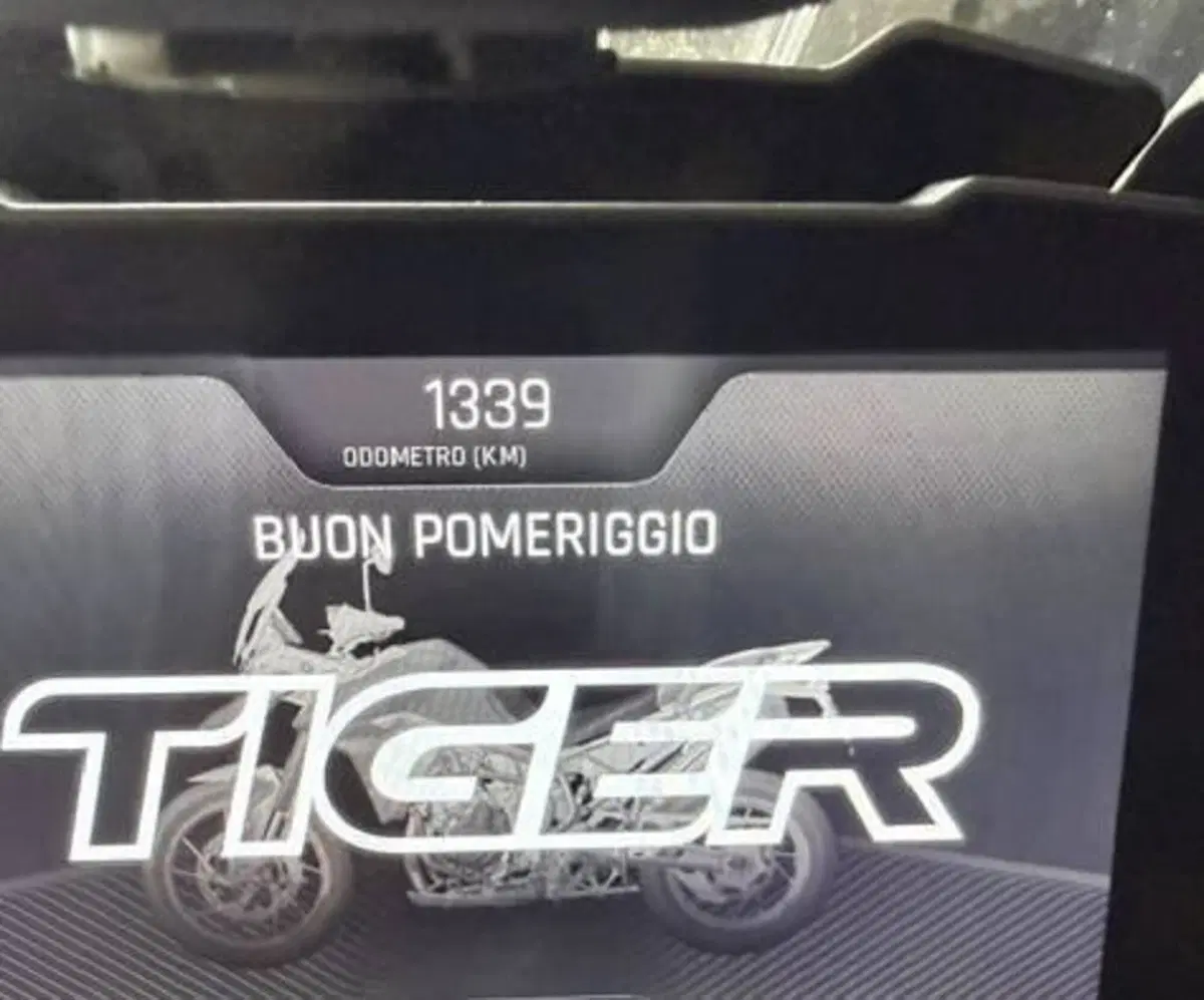 Triumph Tiger 900 Rally Pro (2020 - 23) (4)
